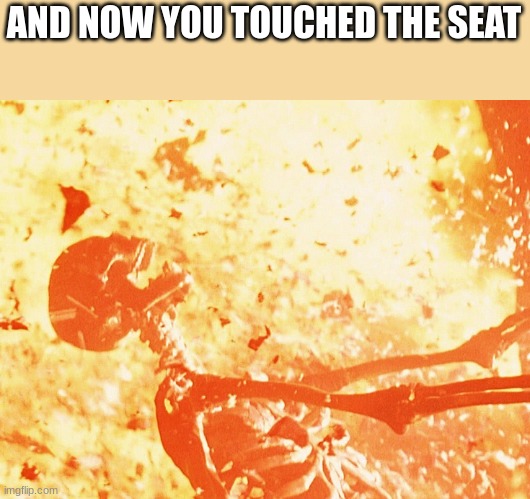 Fire skeleton | AND NOW YOU TOUCHED THE SEAT | image tagged in fire skeleton | made w/ Imgflip meme maker