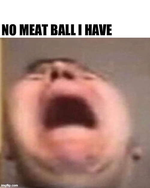I HAVE NO MEAT BALL | NO MEAT BALL I HAVE | made w/ Imgflip meme maker