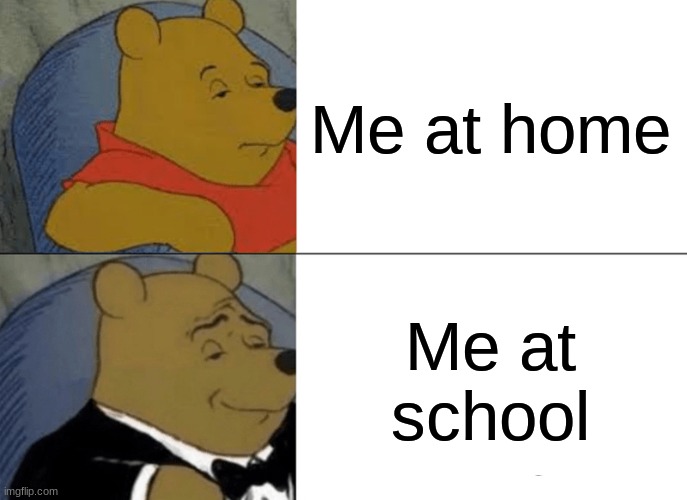 Tuxedo Winnie The Pooh | Me at home; Me at school | image tagged in memes,tuxedo winnie the pooh | made w/ Imgflip meme maker