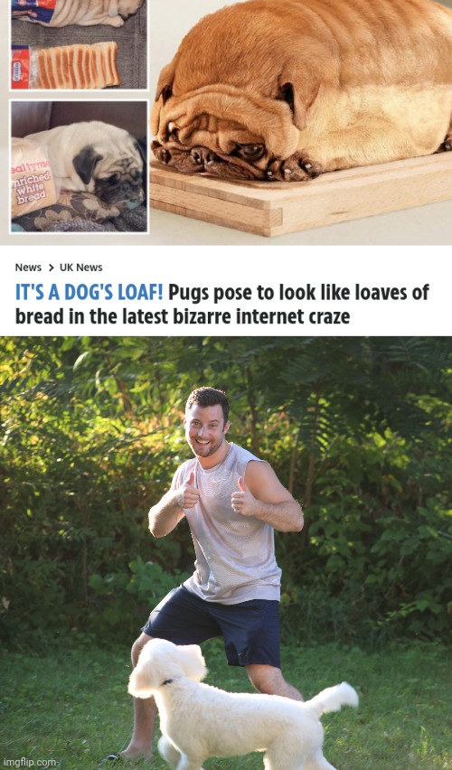 Loaves of bread poses | image tagged in thumbs up with dog in yard,bread,pose,dogs,dog,memes | made w/ Imgflip meme maker