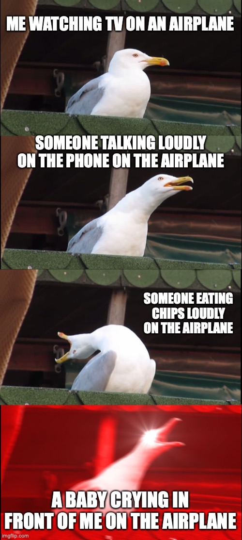 This happens every time I'm on an airplane lol | ME WATCHING TV ON AN AIRPLANE; SOMEONE TALKING LOUDLY ON THE PHONE ON THE AIRPLANE; SOMEONE EATING CHIPS LOUDLY ON THE AIRPLANE; A BABY CRYING IN FRONT OF ME ON THE AIRPLANE | image tagged in memes,inhaling seagull,airplane,too much,noise | made w/ Imgflip meme maker