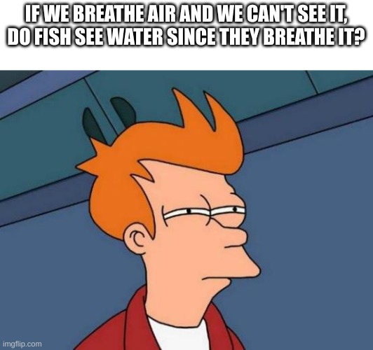 A question a classmate asked me at school today. | IF WE BREATHE AIR AND WE CAN'T SEE IT,
DO FISH SEE WATER SINCE THEY BREATHE IT? | image tagged in memes,question | made w/ Imgflip meme maker