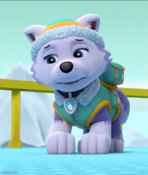 Sad Everest | image tagged in sad everest | made w/ Imgflip meme maker