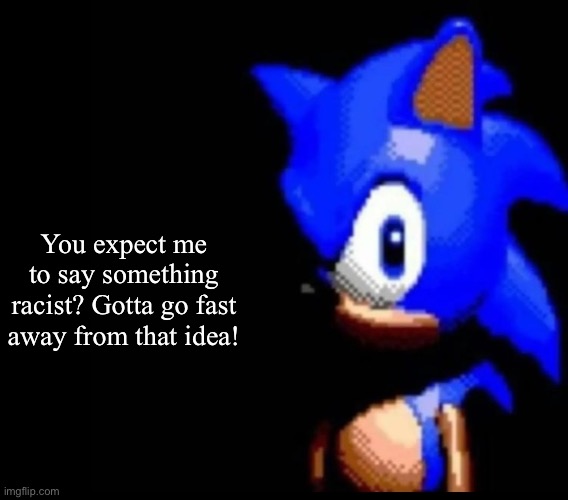 AI generated meme #1 | You expect me to say something racist? Gotta go fast away from that idea! | image tagged in sonic stares | made w/ Imgflip meme maker