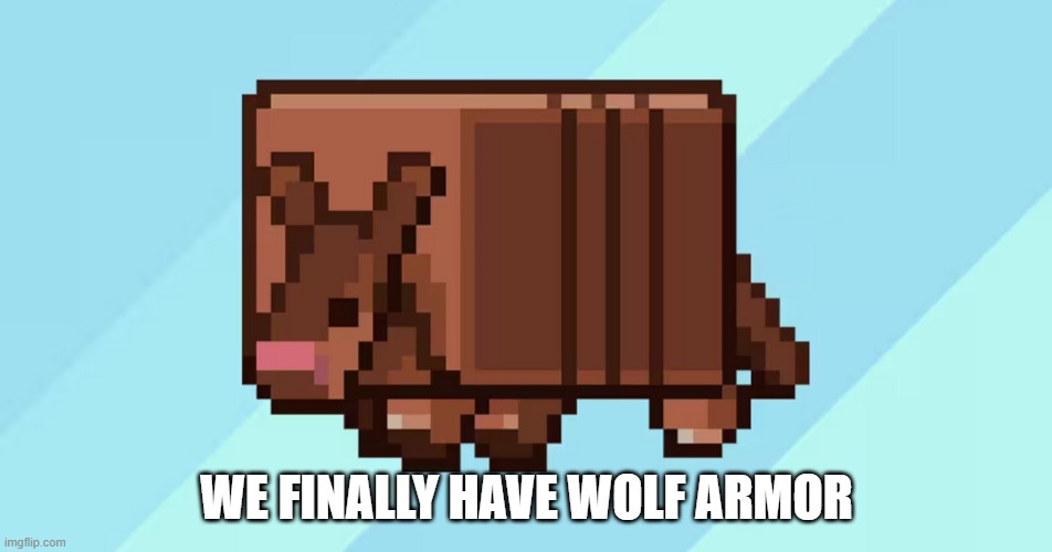 WE FINALLY HAVE WOLF ARMOR | image tagged in minecraft | made w/ Imgflip meme maker