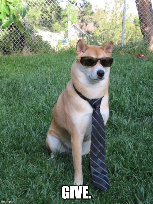 Business doge | GIVE. | image tagged in business doge | made w/ Imgflip meme maker