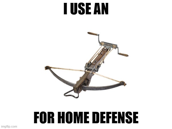 I USE AN; FOR HOME DEFENSE | made w/ Imgflip meme maker