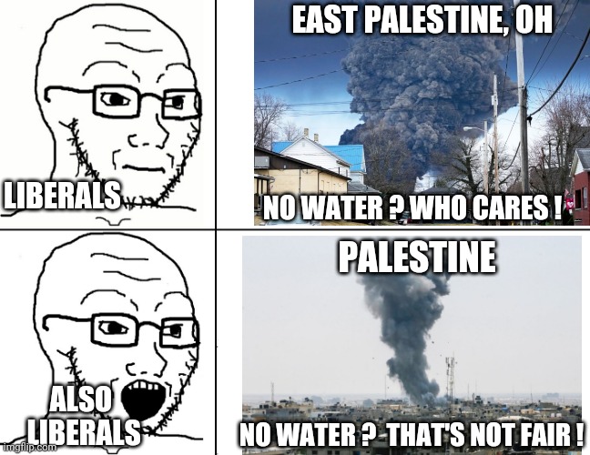 The Liberal Perspective | EAST PALESTINE, OH; LIBERALS; NO WATER ? WHO CARES ! PALESTINE; ALSO
 LIBERALS; NO WATER ?  THAT'S NOT FAIR ! | image tagged in soyjak reaction,leftists,liberals,democrats,pollution | made w/ Imgflip meme maker