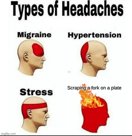 Types of Headaches meme | Scraping a fork on a plate | image tagged in types of headaches meme,fork,plate,headache,death,internal screaming | made w/ Imgflip meme maker