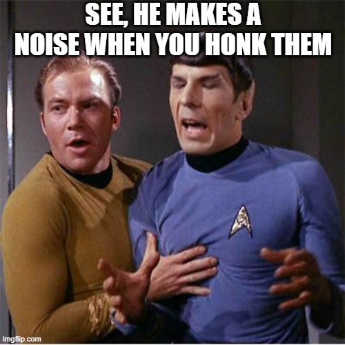 Spock Grab | SEE, HE MAKES A NOISE WHEN YOU HONK THEM | image tagged in star trek inappropriate touching | made w/ Imgflip meme maker