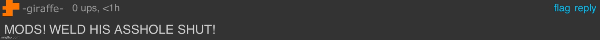 MODS! WELD HIS ASSHOLE SHUT | image tagged in mods weld his asshole shut | made w/ Imgflip meme maker