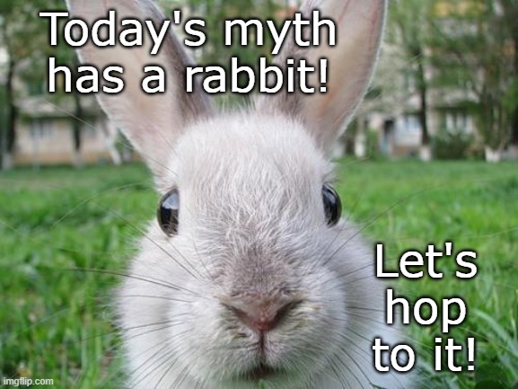rabbit | Today's myth has a rabbit! Let's hop to it! | image tagged in rabbit | made w/ Imgflip meme maker