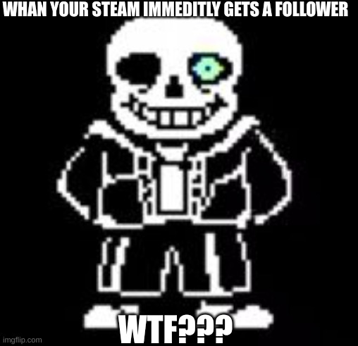 Sans Bad Time | WHAN YOUR STEAM IMMEDITLY GETS A FOLLOWER; WTF??? | image tagged in sans bad time | made w/ Imgflip meme maker