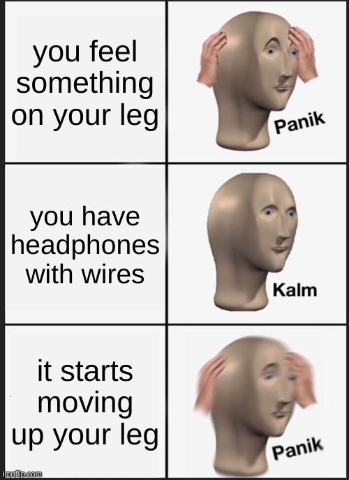 the feeling | you feel something on your leg; you have headphones with wires; it starts moving up your leg | image tagged in memes,panik kalm panik | made w/ Imgflip meme maker