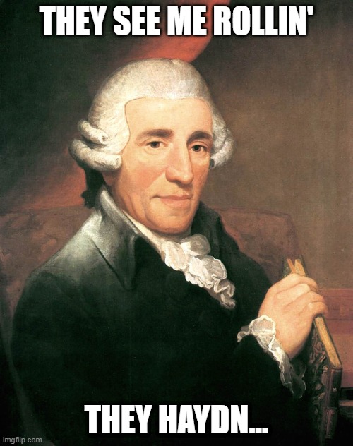 Haydn | THEY SEE ME ROLLIN'; THEY HAYDN... | image tagged in haydn | made w/ Imgflip meme maker