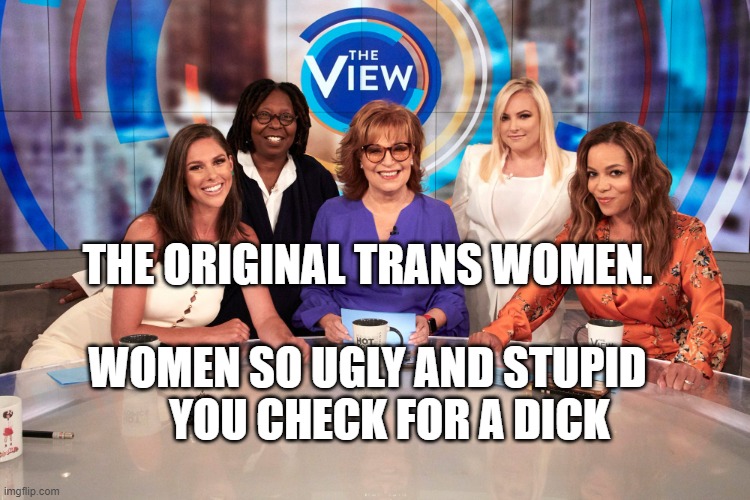 The View | THE ORIGINAL TRANS WOMEN. WOMEN SO UGLY AND STUPID      YOU CHECK FOR A DICK | image tagged in the view | made w/ Imgflip meme maker
