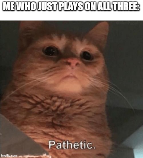 Pathetic Cat | ME WHO JUST PLAYS ON ALL THREE: | image tagged in pathetic cat | made w/ Imgflip meme maker