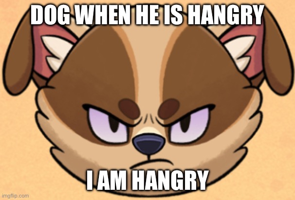 Mad Dog | DOG WHEN HE IS HANGRY; I AM HANGRY | image tagged in mad dog | made w/ Imgflip meme maker