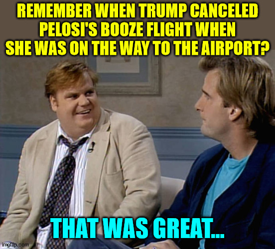 Remember that time | REMEMBER WHEN TRUMP CANCELED PELOSI'S BOOZE FLIGHT WHEN SHE WAS ON THE WAY TO THE AIRPORT? THAT WAS GREAT... | image tagged in remember that time | made w/ Imgflip meme maker