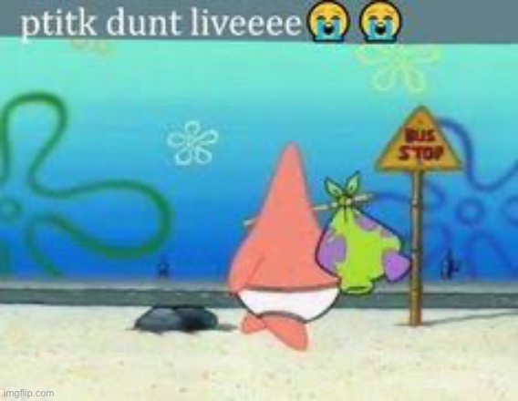Patik dunt liveeee | image tagged in patik dunt liveeee | made w/ Imgflip meme maker