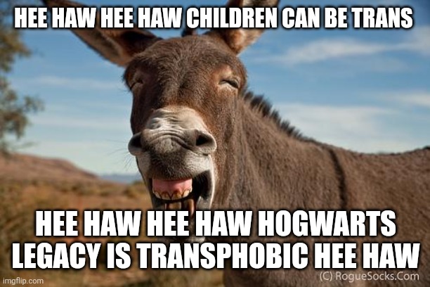 Donkey Jackass Braying | HEE HAW HEE HAW CHILDREN CAN BE TRANS HEE HAW HEE HAW HOGWARTS LEGACY IS TRANSPHOBIC HEE HAW | image tagged in donkey jackass braying | made w/ Imgflip meme maker