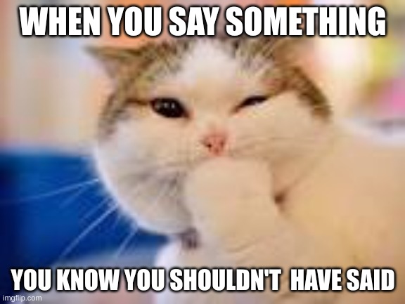 This is my childhood :D | WHEN YOU SAY SOMETHING; YOU KNOW YOU SHOULDN'T  HAVE SAID | image tagged in funny,memes,cats,funny cat memes,funny cats | made w/ Imgflip meme maker