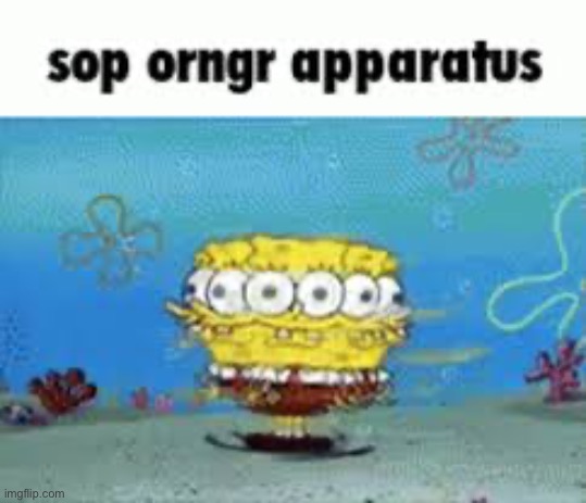 Sop orngr apparatus | image tagged in sop orngr apparatus | made w/ Imgflip meme maker