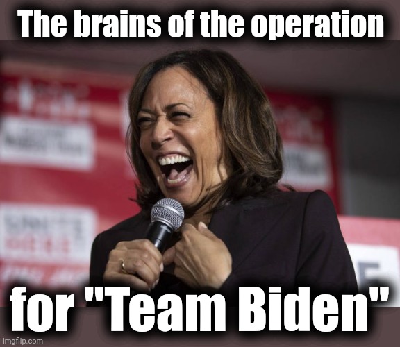 The only possible explanation | The brains of the operation; for "Team Biden" | image tagged in kamala laughing,memes,diversity hyena,team biden,democrats,brains of the operation | made w/ Imgflip meme maker