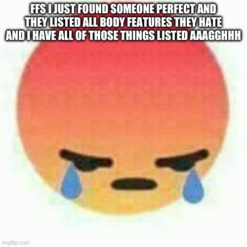 I’ll keep you anonymous | FFS I JUST FOUND SOMEONE PERFECT AND THEY LISTED ALL BODY FEATURES THEY HATE AND I HAVE ALL OF THOSE THINGS LISTED AAAGGHHH | made w/ Imgflip meme maker