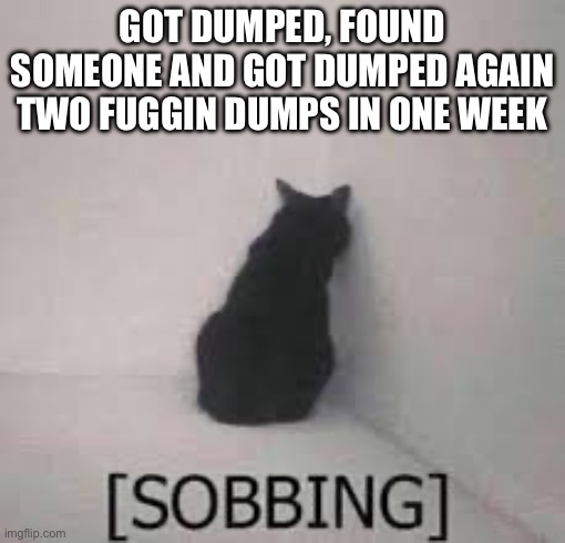 That’s it I’m about to shit myself | GOT DUMPED, FOUND SOMEONE AND GOT DUMPED AGAIN
TWO FUGGIN DUMPS IN ONE WEEK | made w/ Imgflip meme maker