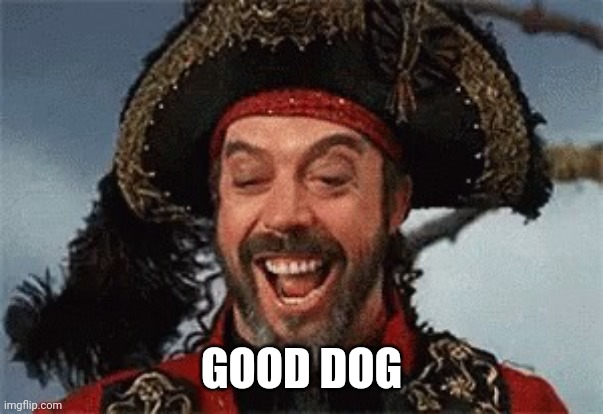 TIM CURRY PIRATE | GOOD DOG | image tagged in tim curry pirate | made w/ Imgflip meme maker