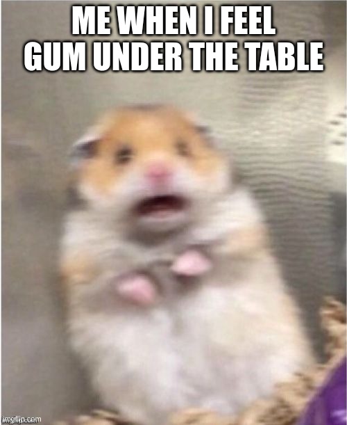 Scared Hamster | ME WHEN I FEEL GUM UNDER THE TABLE | image tagged in scared hamster,funny memes,memes | made w/ Imgflip meme maker