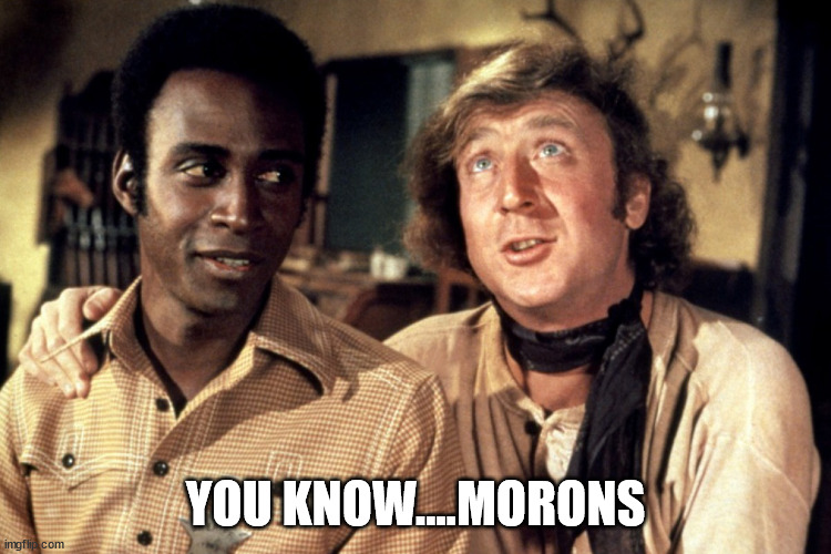 Blazing Saddles Morons | YOU KNOW....MORONS | image tagged in blazing saddles morons | made w/ Imgflip meme maker