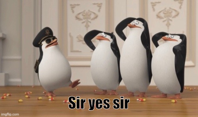 Sir, Yes Sir! | Sir yes sir | image tagged in sir yes sir | made w/ Imgflip meme maker