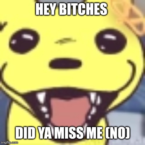 Monksilly | HEY BITCHES; DID YA MISS ME (NO) | image tagged in monksilly | made w/ Imgflip meme maker