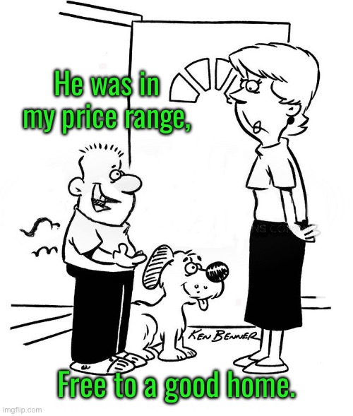 My new puppy | He was in my price range, Free to a good home. | image tagged in new dog,in my price range,free,good home,comics | made w/ Imgflip meme maker