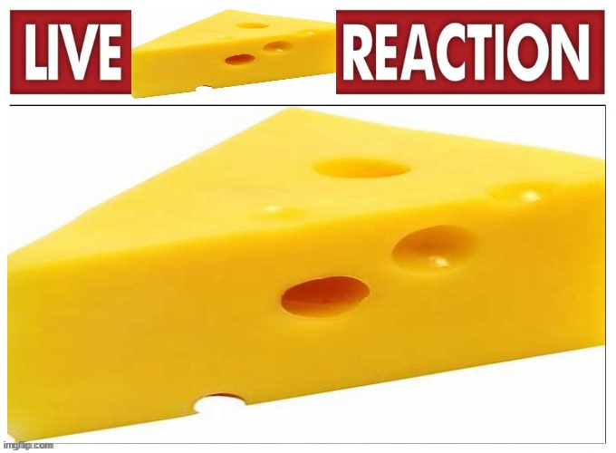 Live Cheese Reaction | image tagged in live cheese reaction | made w/ Imgflip meme maker