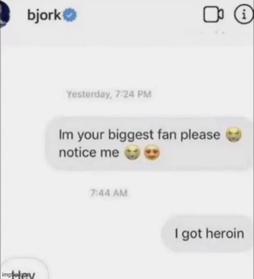 Bjork | made w/ Imgflip meme maker