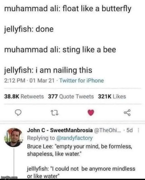 made w/ Imgflip meme maker