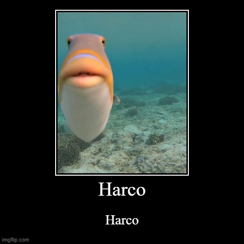 Harco | Harco | Harco | made w/ Imgflip demotivational maker