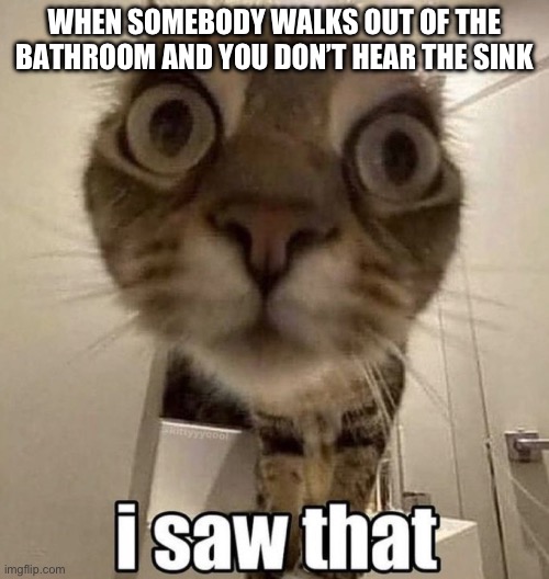 WHEN SOMEBODY WALKS OUT OF THE BATHROOM AND YOU DON’T HEAR THE SINK | image tagged in cats,funny | made w/ Imgflip meme maker