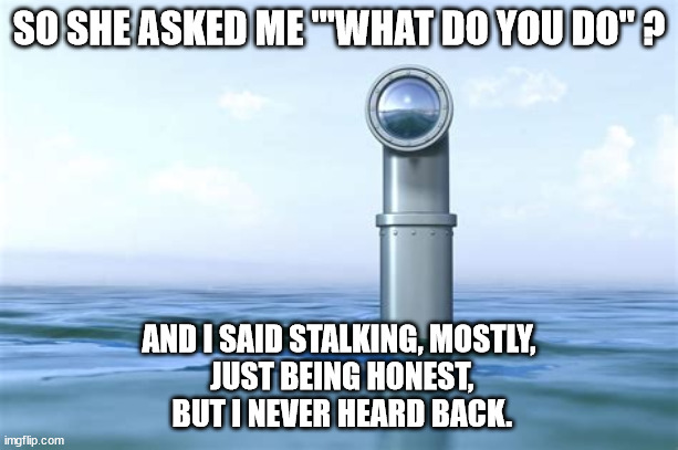 The Tale of an Honest Submariner. | SO SHE ASKED ME "'WHAT DO YOU DO" ? AND I SAID STALKING, MOSTLY,
 JUST BEING HONEST,
 BUT I NEVER HEARD BACK. | image tagged in submarine,military humor | made w/ Imgflip meme maker