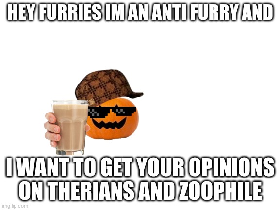 Blank White Template | HEY FURRIES IM AN ANTI FURRY AND; I WANT TO GET YOUR OPINIONS ON THERIANS AND ZOOPHILE | image tagged in blank white template | made w/ Imgflip meme maker