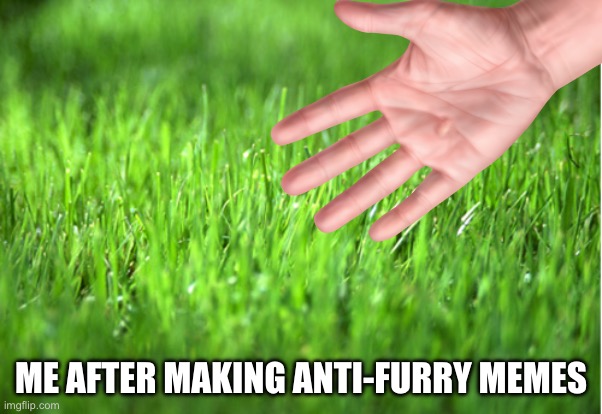 Average Chad | ME AFTER MAKING ANTI-FURRY MEMES | image tagged in grass is greener,anti furry | made w/ Imgflip meme maker