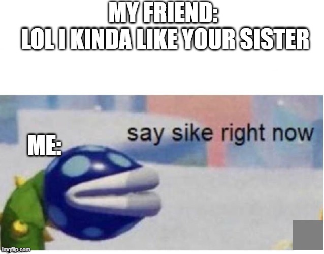 say sike right now | MY FRIEND: 
LOL I KINDA LIKE YOUR SISTER; ME: | image tagged in say sike right now | made w/ Imgflip meme maker