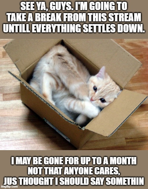 I'll tell y'all all about it when i see you again | SEE YA, GUYS. I'M GOING TO TAKE A BREAK FROM THIS STREAM UNTILL EVERYTHING SETTLES DOWN. I MAY BE GONE FOR UP TO A MONTH
NOT THAT ANYONE CARES, JUS THOUGHT I SHOULD SAY SOMETHIN | image tagged in cat in a box | made w/ Imgflip meme maker
