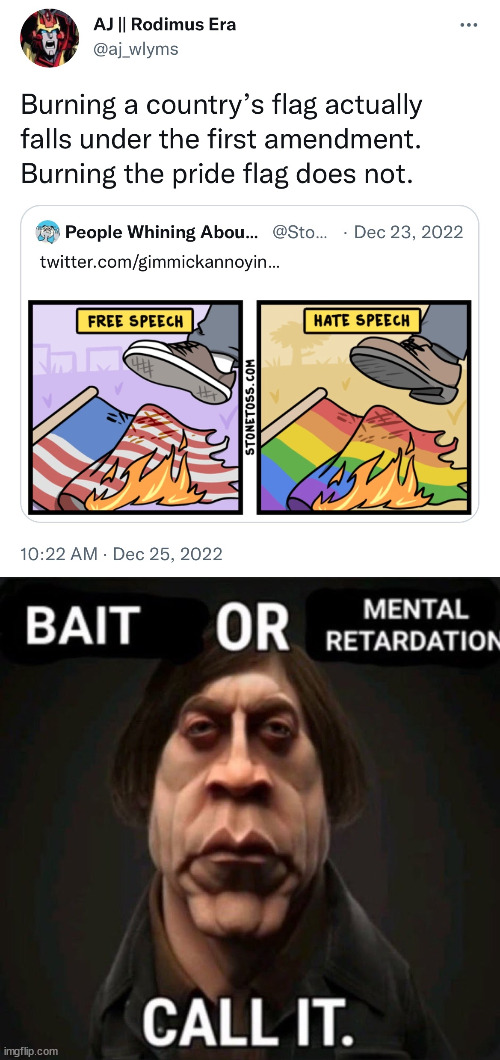 this people meatriding LGBT | image tagged in bait or mental retardation | made w/ Imgflip meme maker