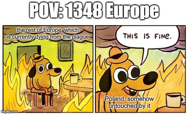 Yersinia Pestis moment | POV: 1348 Europe; the rest of Europe, which is currently dying from the plague; Poland, somehow untouched by it | image tagged in memes,this is fine | made w/ Imgflip meme maker