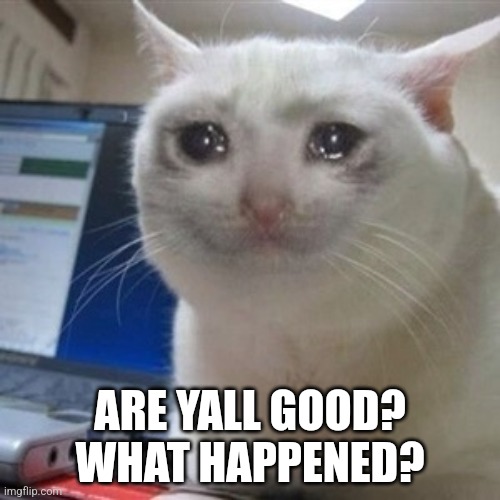 Crying cat | ARE YALL GOOD? WHAT HAPPENED? | image tagged in crying cat | made w/ Imgflip meme maker