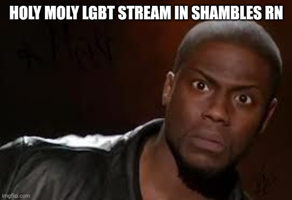 How¿‽? | HOLY MOLY LGBT STREAM IN SHAMBLES RN | image tagged in wth | made w/ Imgflip meme maker